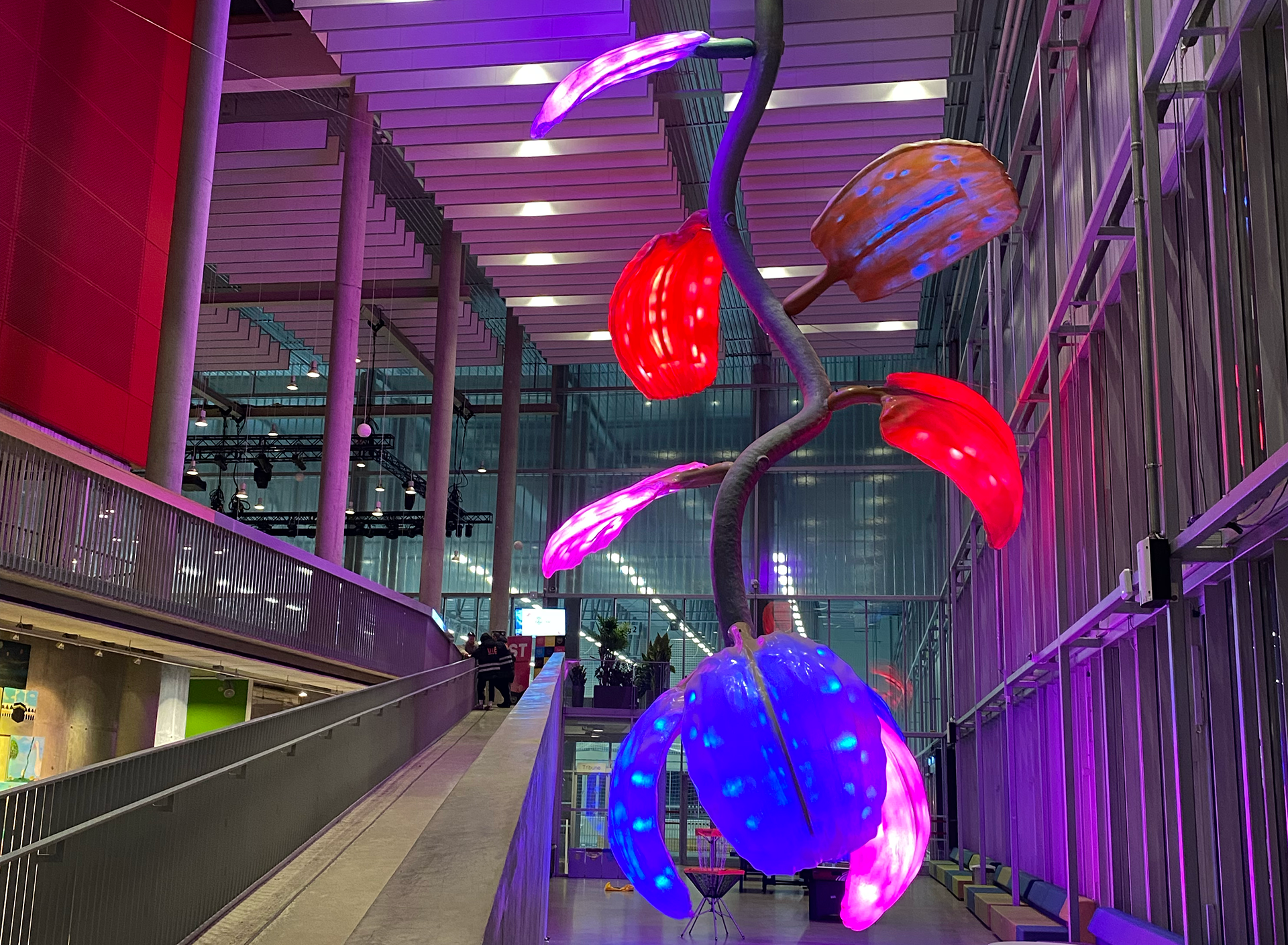 en gruppe ballonger fra taket