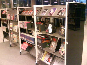 Biblioteket har mange bøker til utlån. Foto: Deichmanske