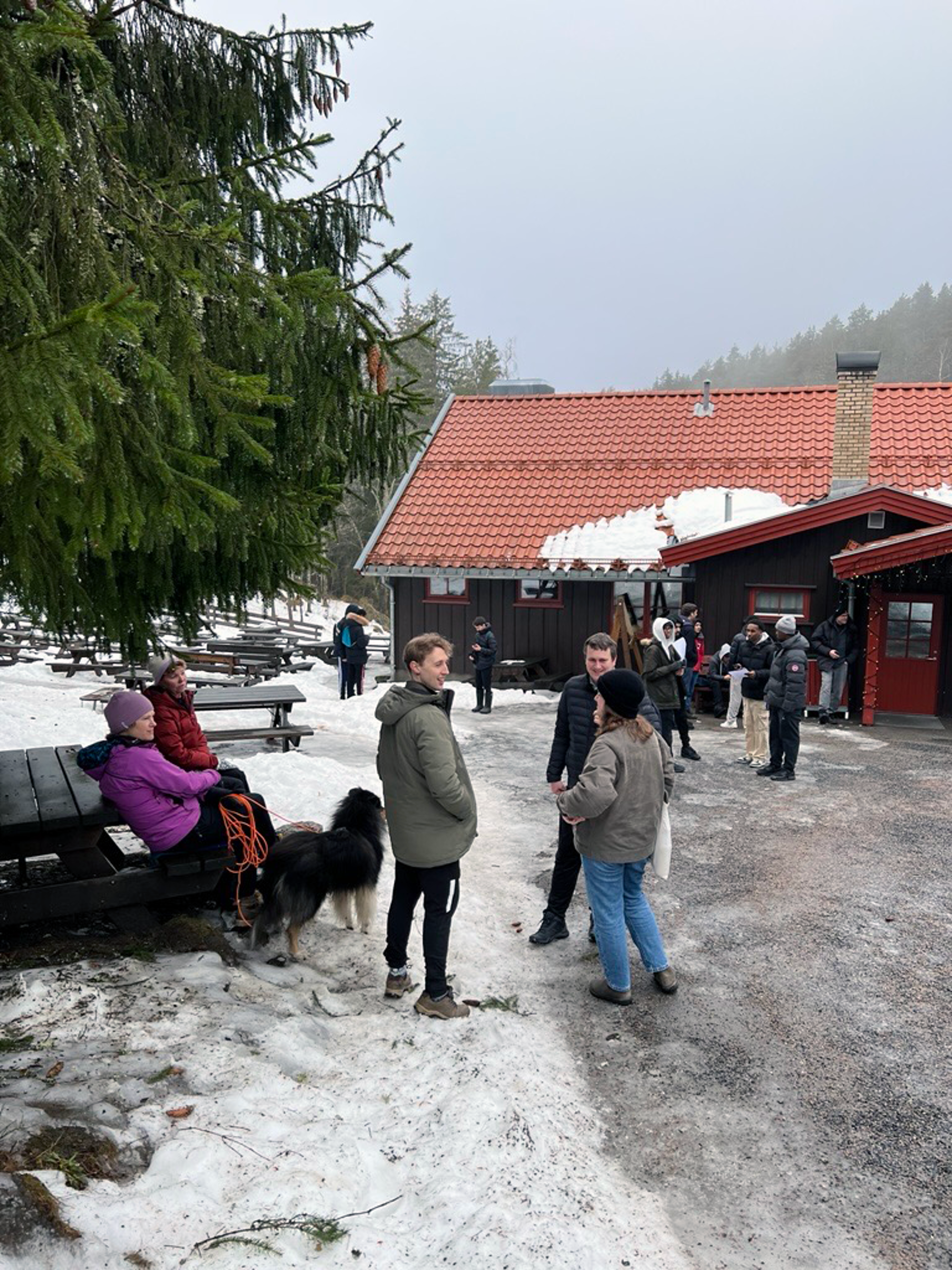 en gruppe mennesker som går nedover en gate med en hund en gruppe mennesker som går nedover en gate med en hund