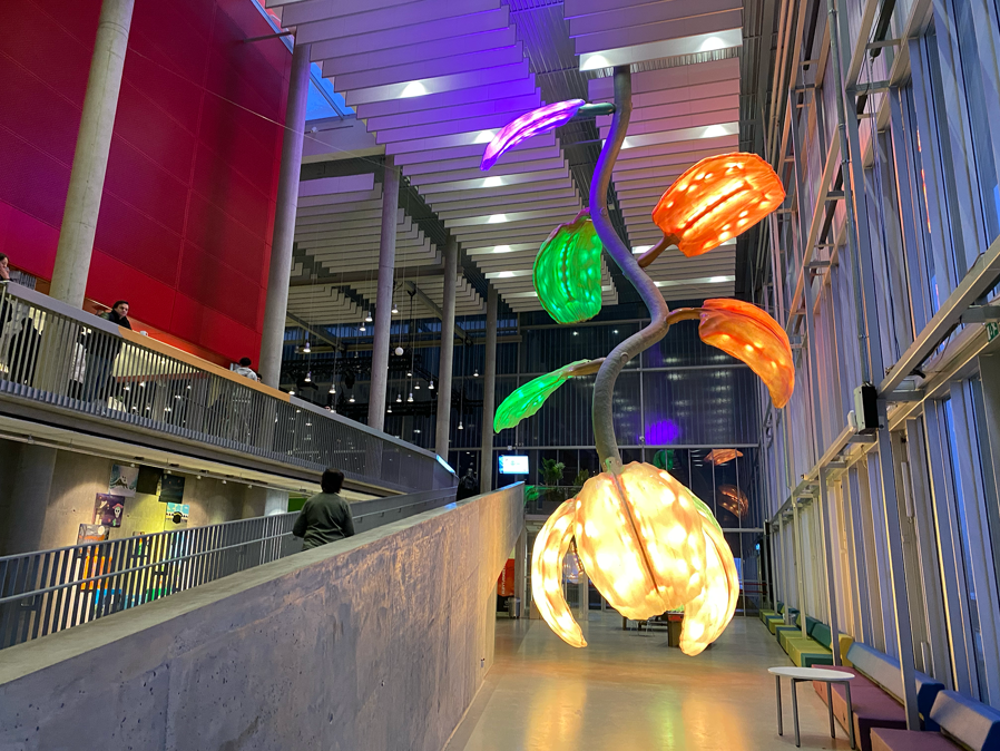 et stort akvarium i en bygning