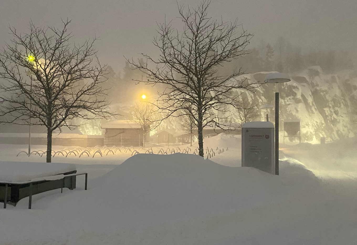 et snødekt landskap med trær og en bygning i det fjerne