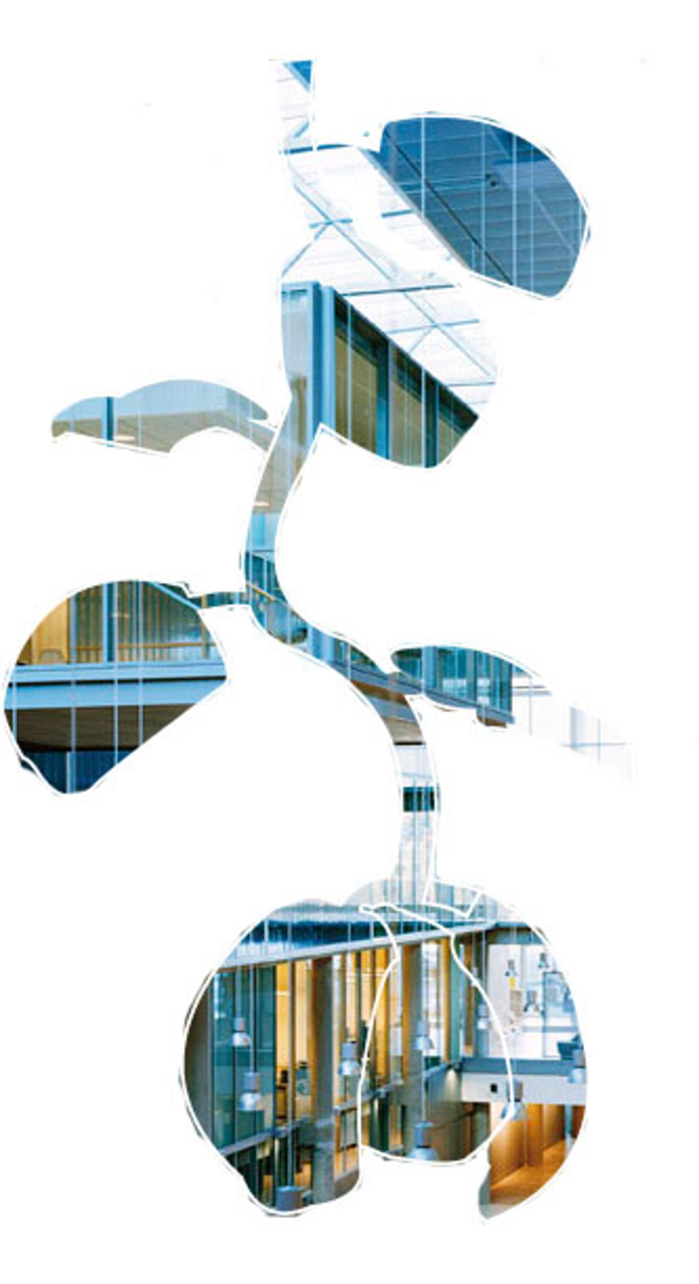 Illustrasjon, bjørnholt skole inne i "blomsten"